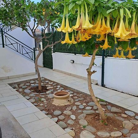 Dimitris Place Near Athens Airport Koropi Esterno foto
