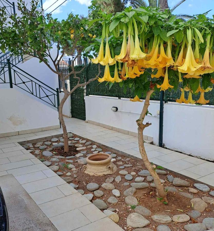 Dimitris Place Near Athens Airport Koropi Esterno foto