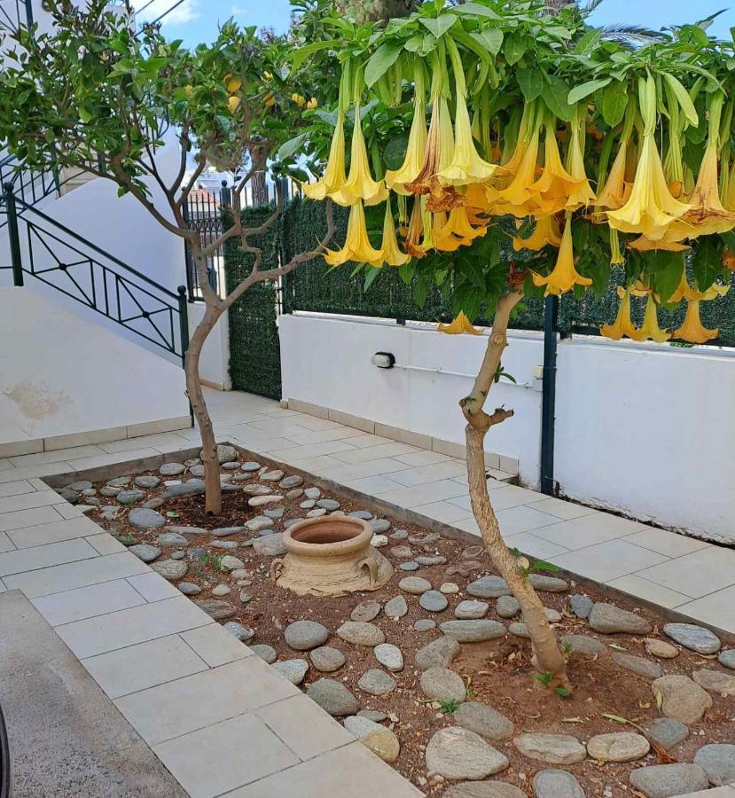 Dimitris Place Near Athens Airport Koropi Esterno foto