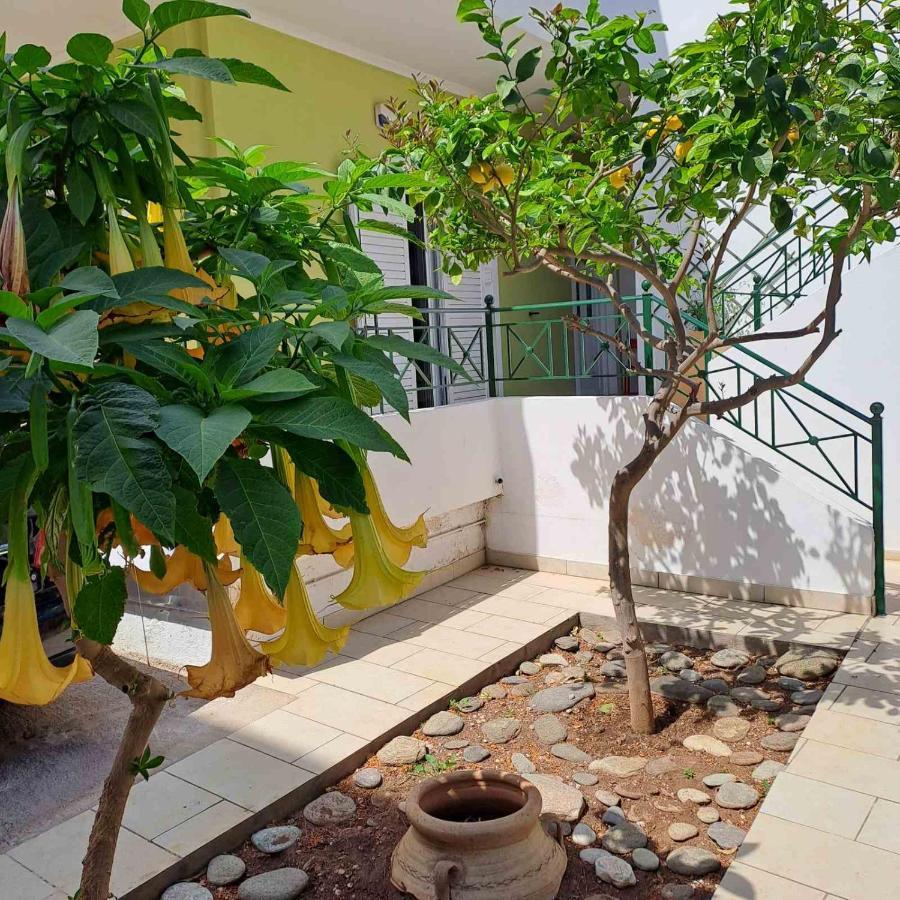 Dimitris Place Near Athens Airport Koropi Esterno foto
